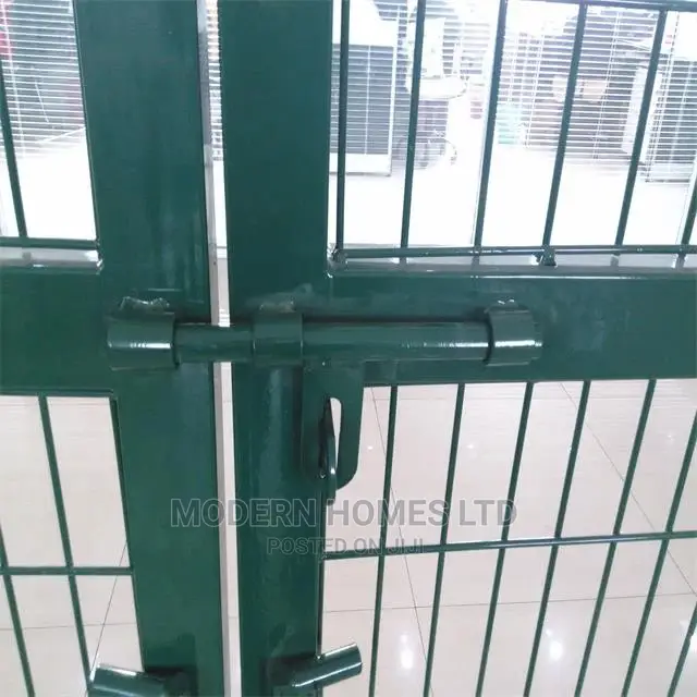 Modern Design Single Gate/Double Gate/Motorized Auto Gate