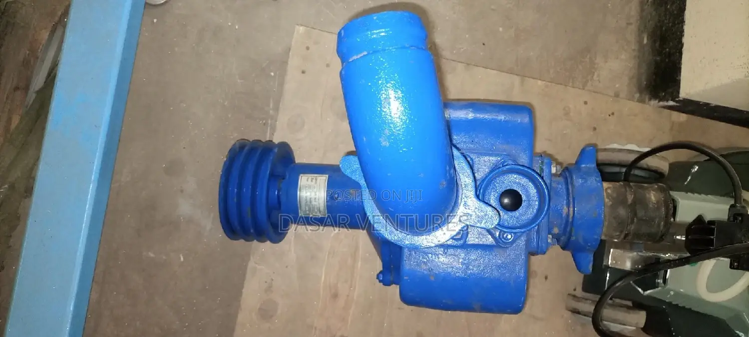 Bare Pump 2" 65m