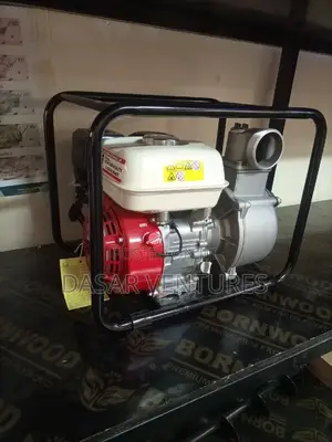 Golf Water Pump