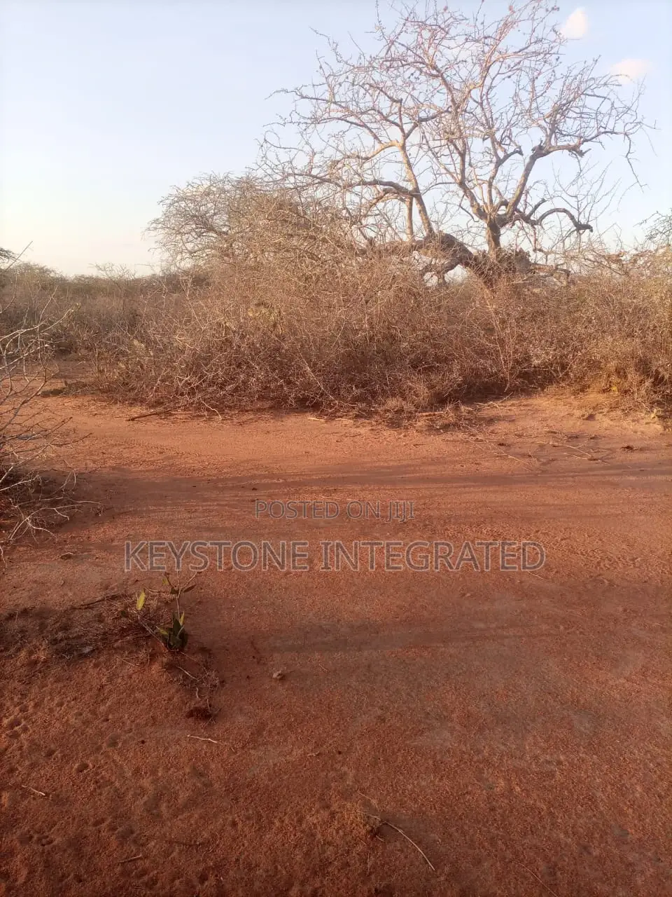 Plots for Sale in Kwale