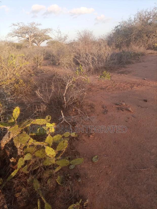 Plots for Sale in Kwale - thumbnail 3
