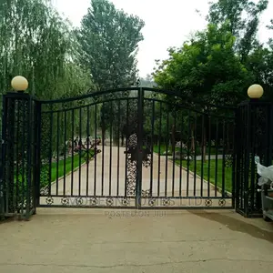 Decorative Wrought Iron Gate Ornaments / Driveway Gates