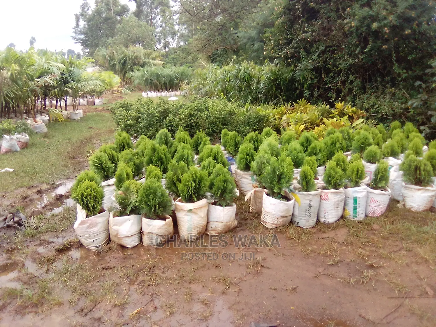 Hotus Landscaping Services