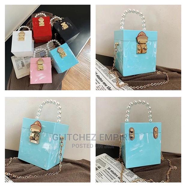 Acrylic Clutch Box Mini Purse