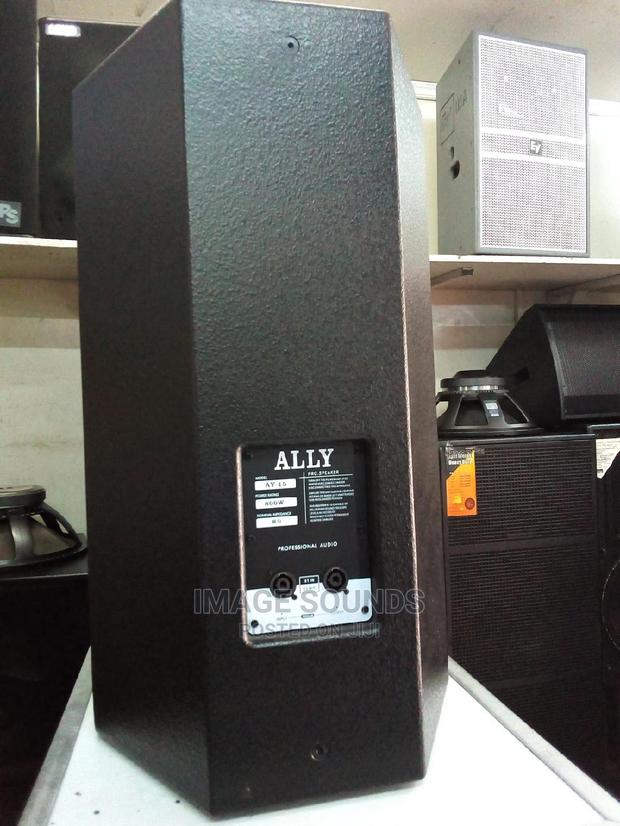 Mid-Range Speaker 15inch- Ally - thumbnail 2