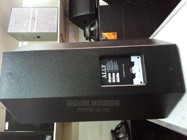 Mid-Range Speaker 15inch- Ally - thumbnail 3