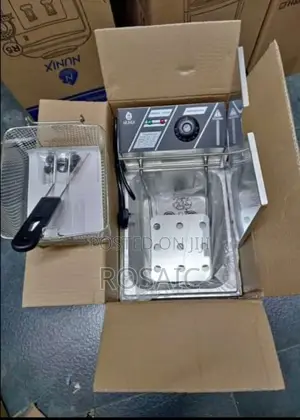 6 Litres Electric Chips Fryer