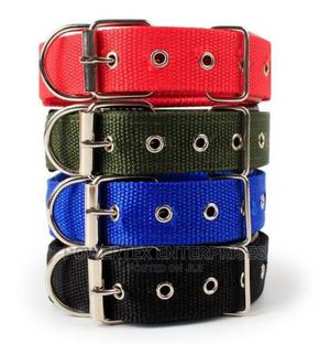 Dog Collar - main view