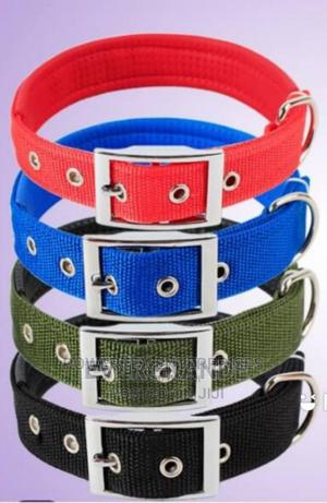 Adjustable Dog Collar - main view