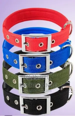 Adjustable Dog Collar