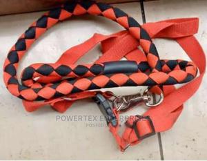Dog Leash Now Available - main view