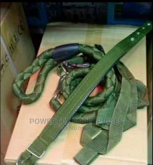 Complete Dog Collar,Leash and Harness - main view