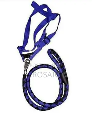 Puppies Dog Leash