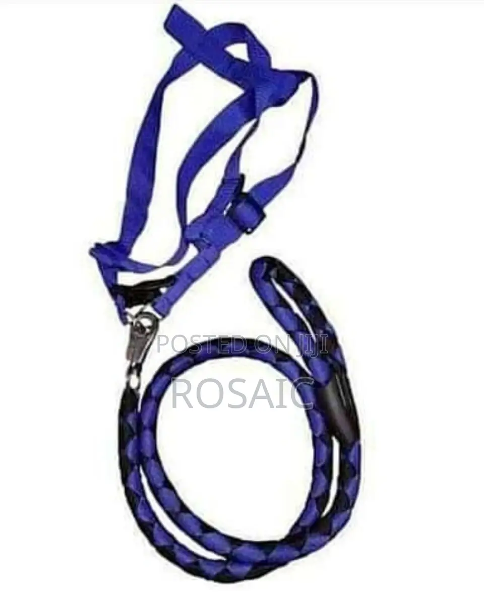 Puppies Dog Leash