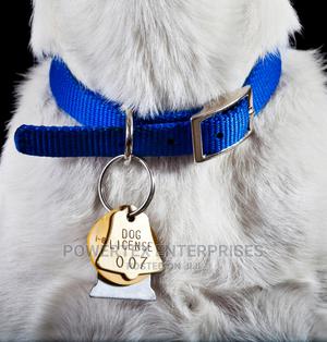 Blue Dog Collar - main view