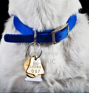 Blue Dog Collar
