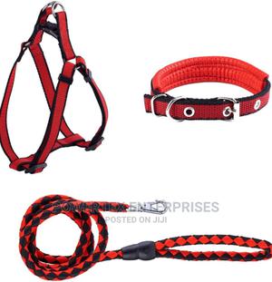 Complete Strong Dog Leash and Collar - main view