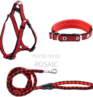 Complete Strong Dog Leash and Collar