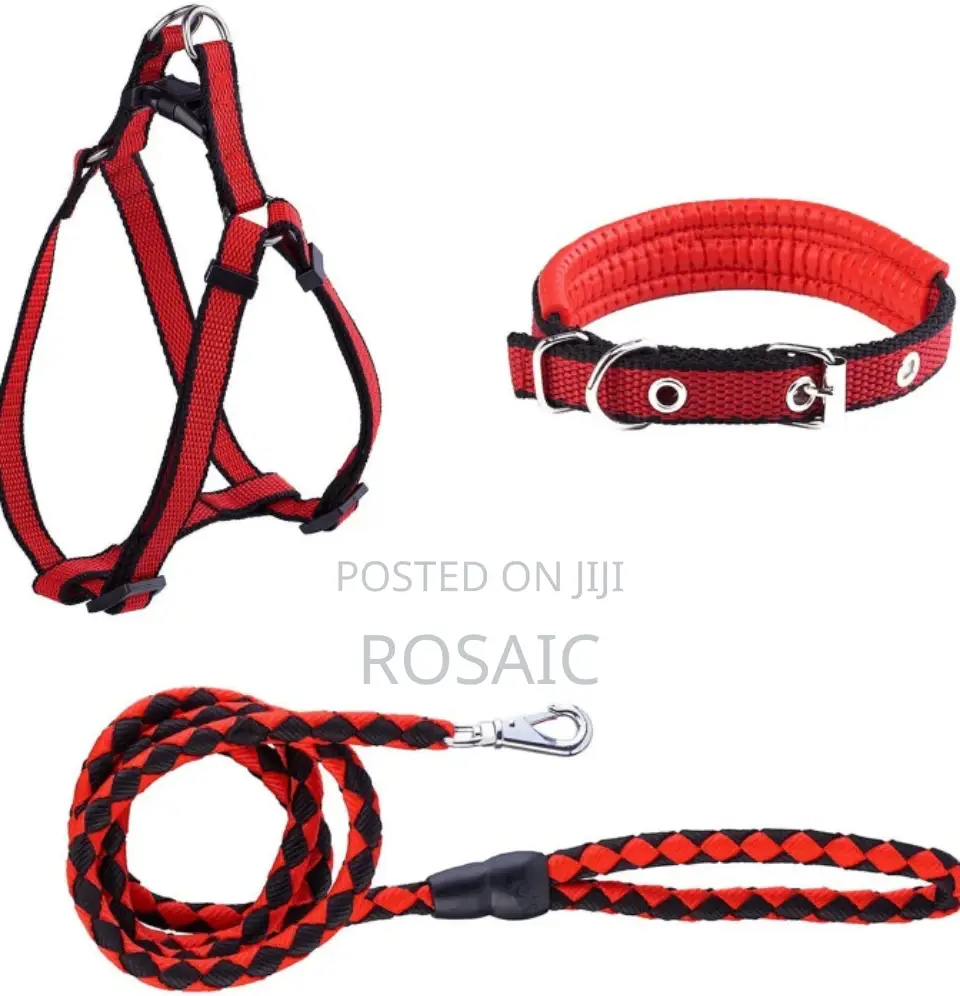 Complete Strong Dog Leash and Collar
