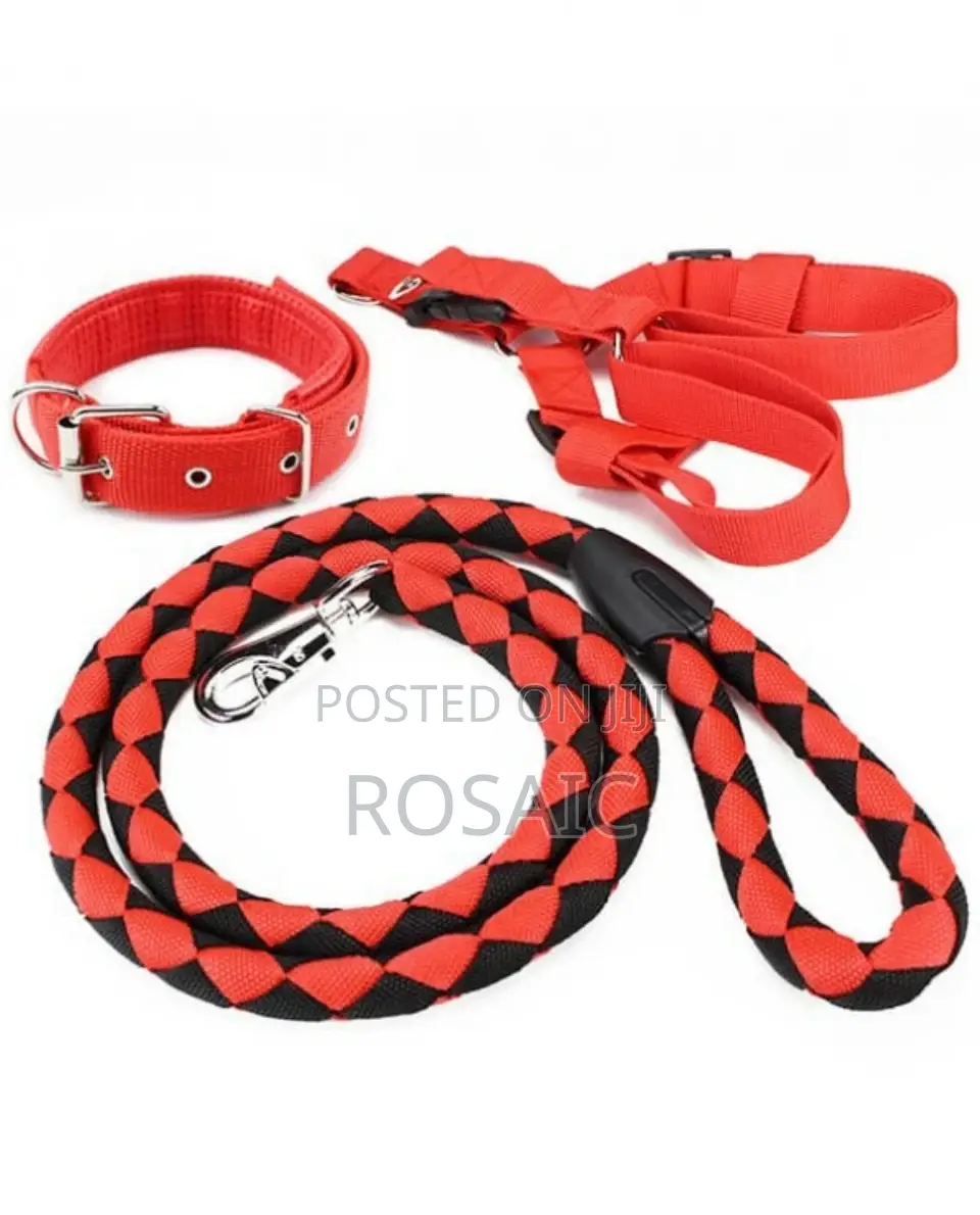 Completestrong and Durable Dog Leash Available
