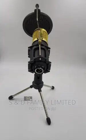 Condenser Microphone Stand With Pop Filter