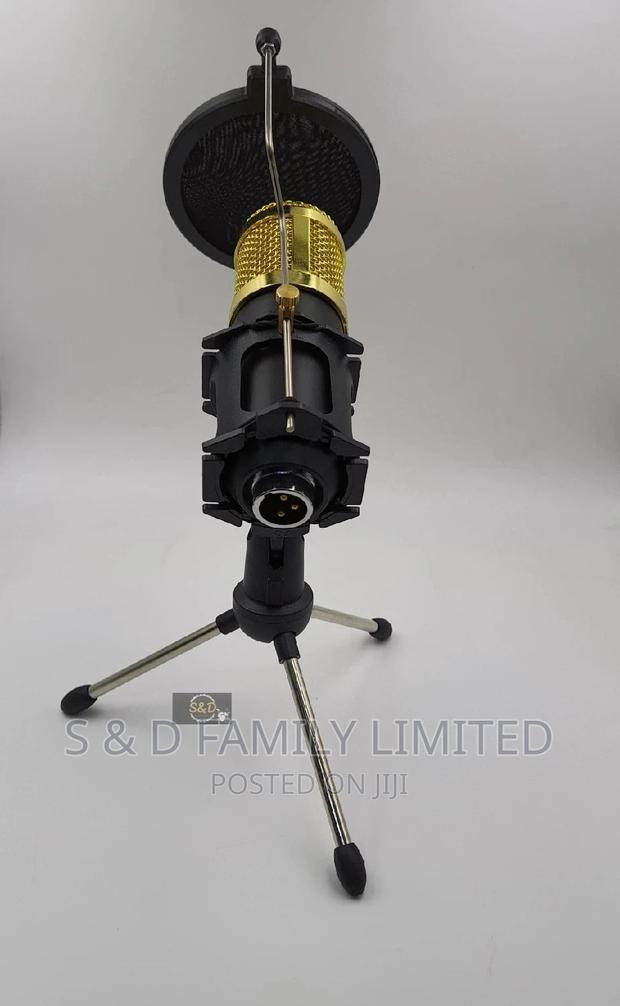 Condenser Microphone Stand With Pop Filter - thumbnail 3