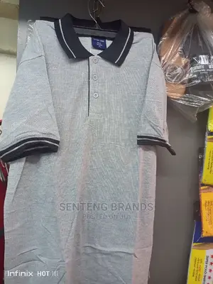 Ash Grey Polo T-Shirts