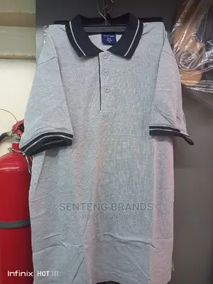 Ash Grey Polo T-Shirts