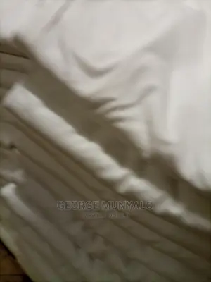 White T-Shirts