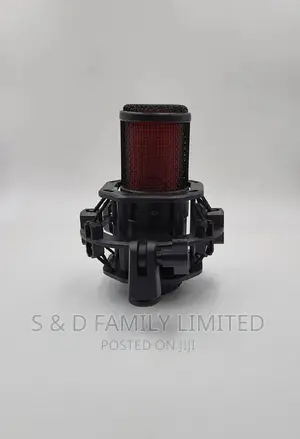 BM V500 Studio Microphone