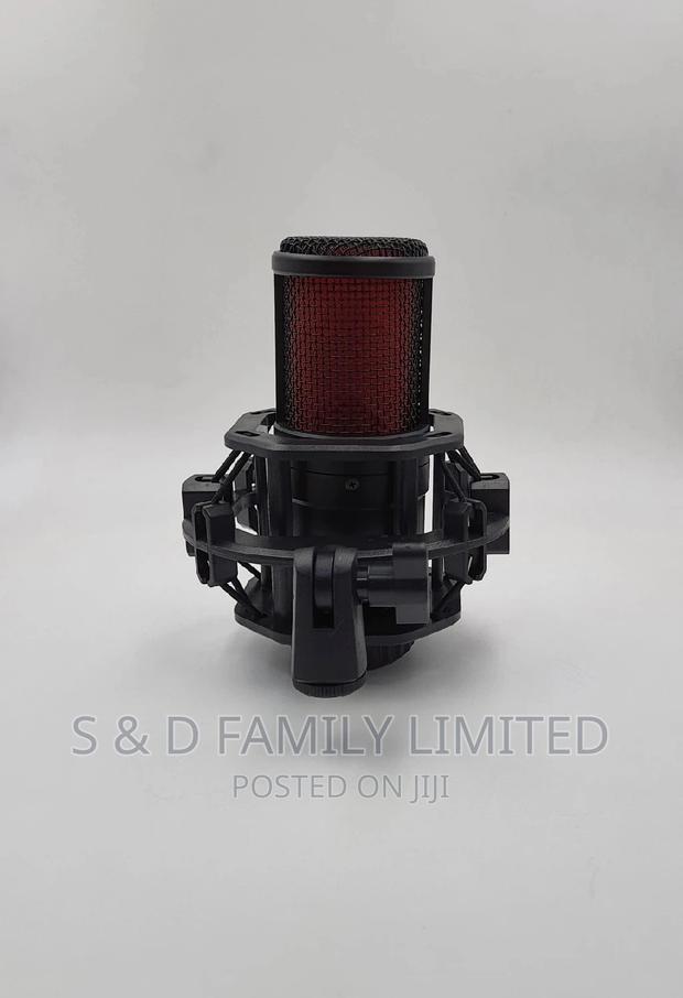 BM V500 Studio Microphone - main view