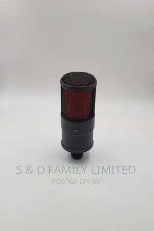 BM V500 Studio Microphone
