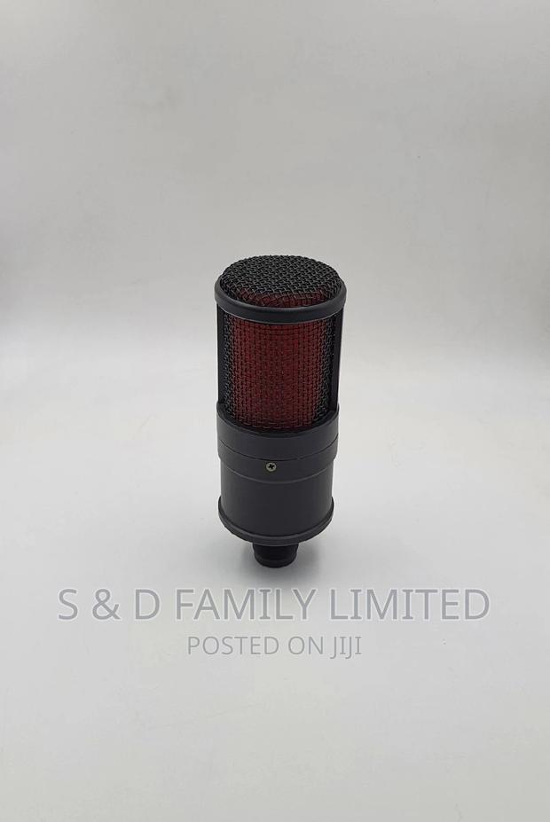 BM V500 Studio Microphone - thumbnail 3