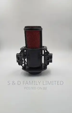 BM V500 Studio Microphone