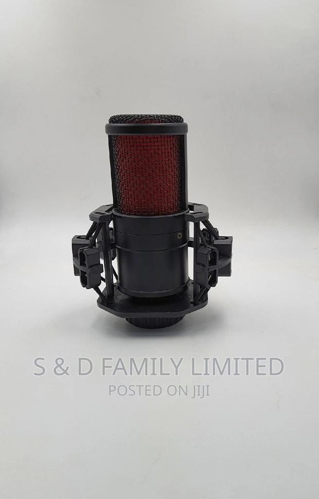 BM V500 Studio Microphone - thumbnail 2