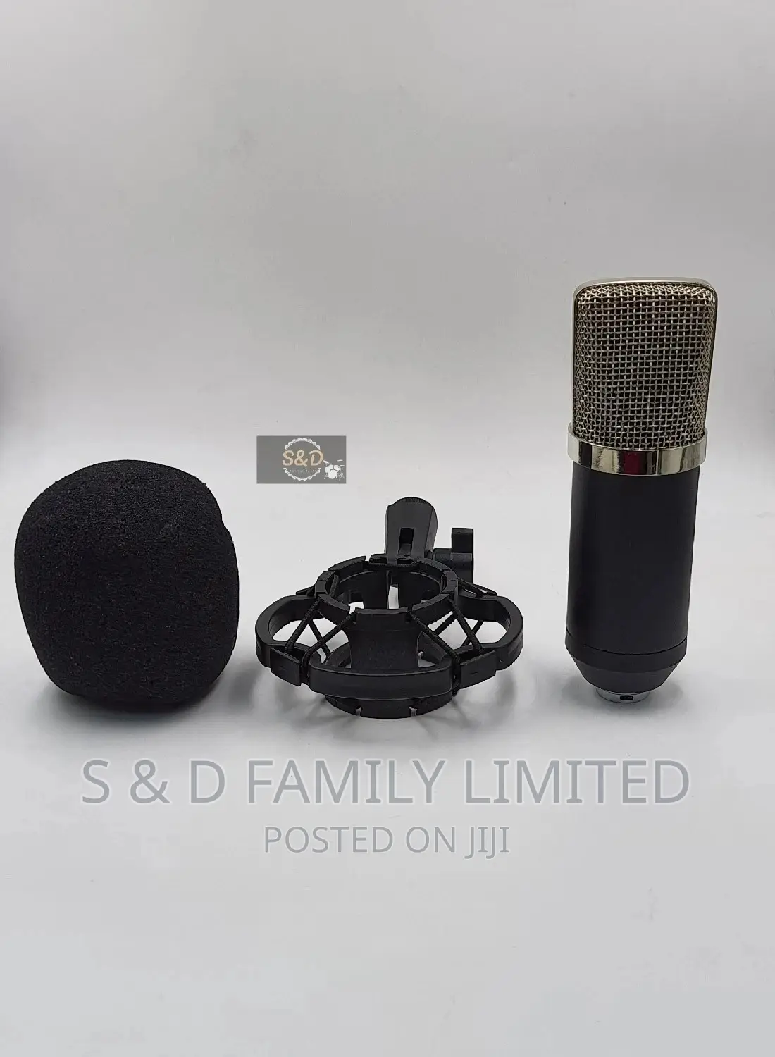 BM 700 Condenser Microphone