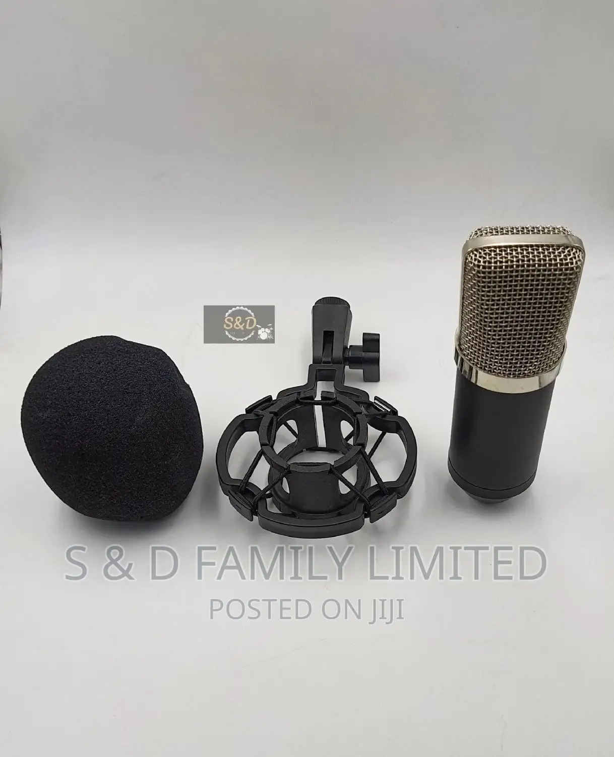 BM 700 Condenser Microphone