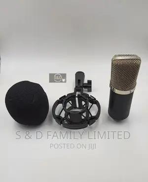 BM 700 Condenser Microphone