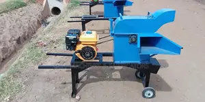 Petrol Engine Powered Chopper