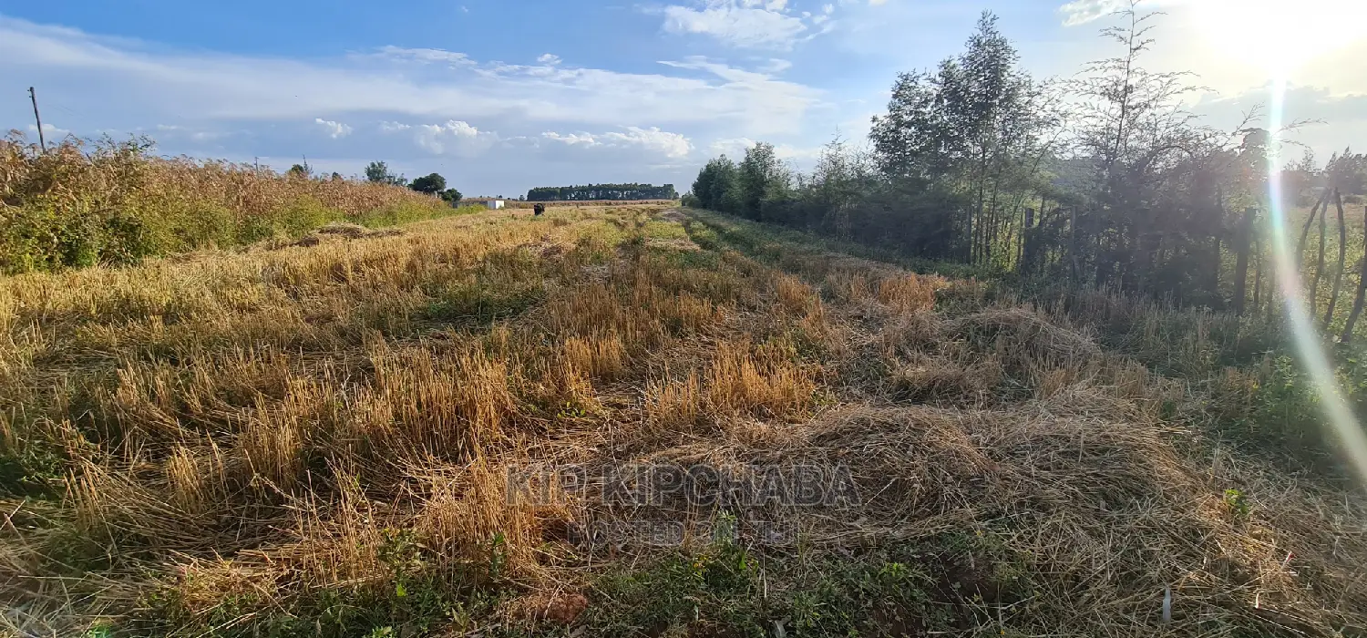 1⁄8 Acre Plots for Sale in Kiplombe Mtrh Eldoret