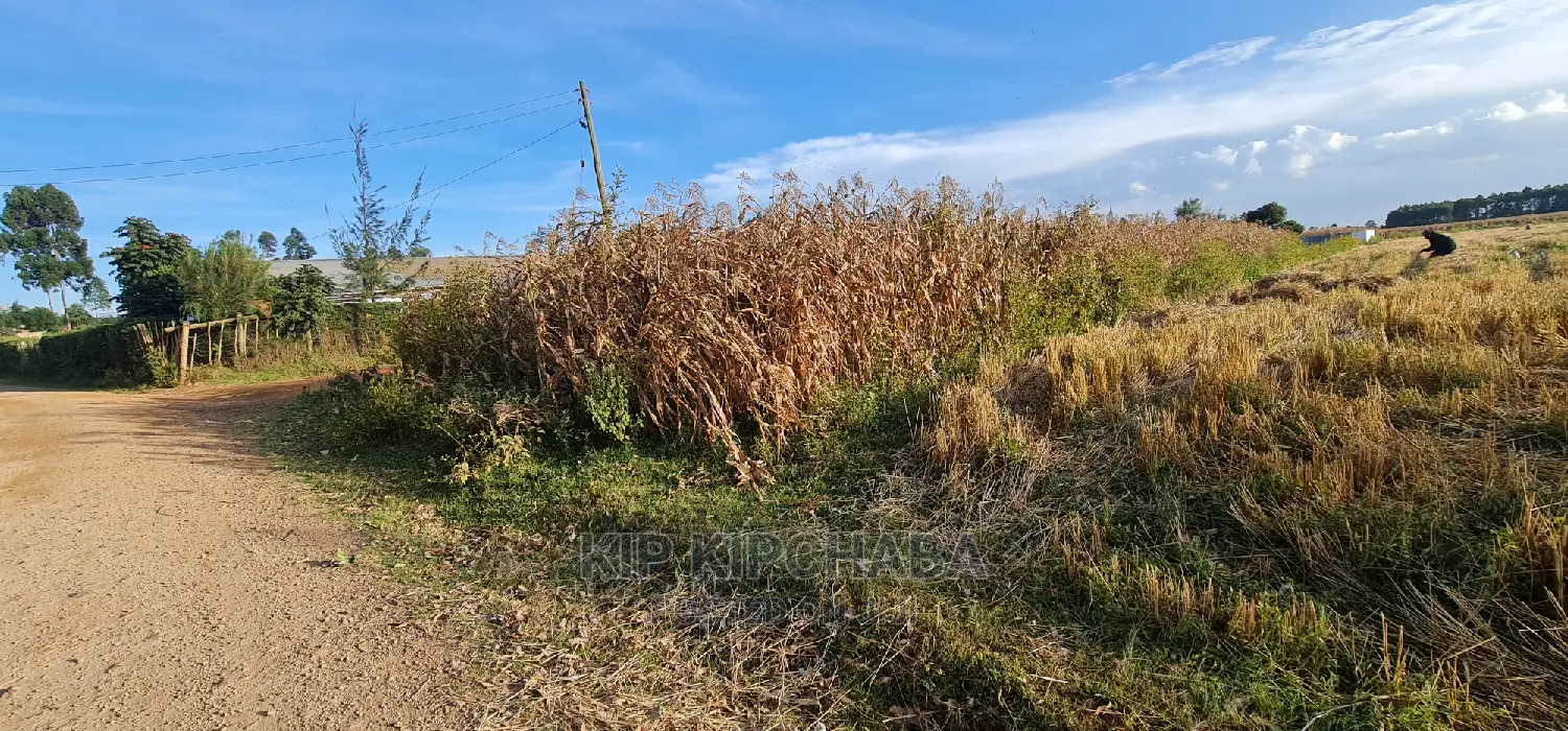 1⁄8 Acre Plots for Sale in Kiplombe Mtrh Eldoret