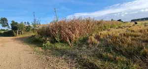 1⁄8 Acre Plots for Sale in Kiplombe Mtrh Eldoret