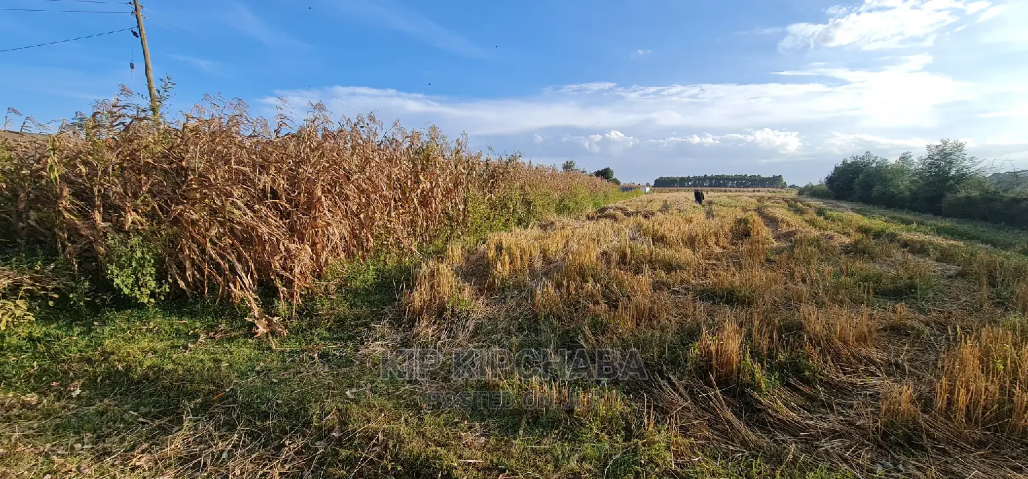 1⁄8 Acre Plots for Sale in Kiplombe Mtrh Eldoret