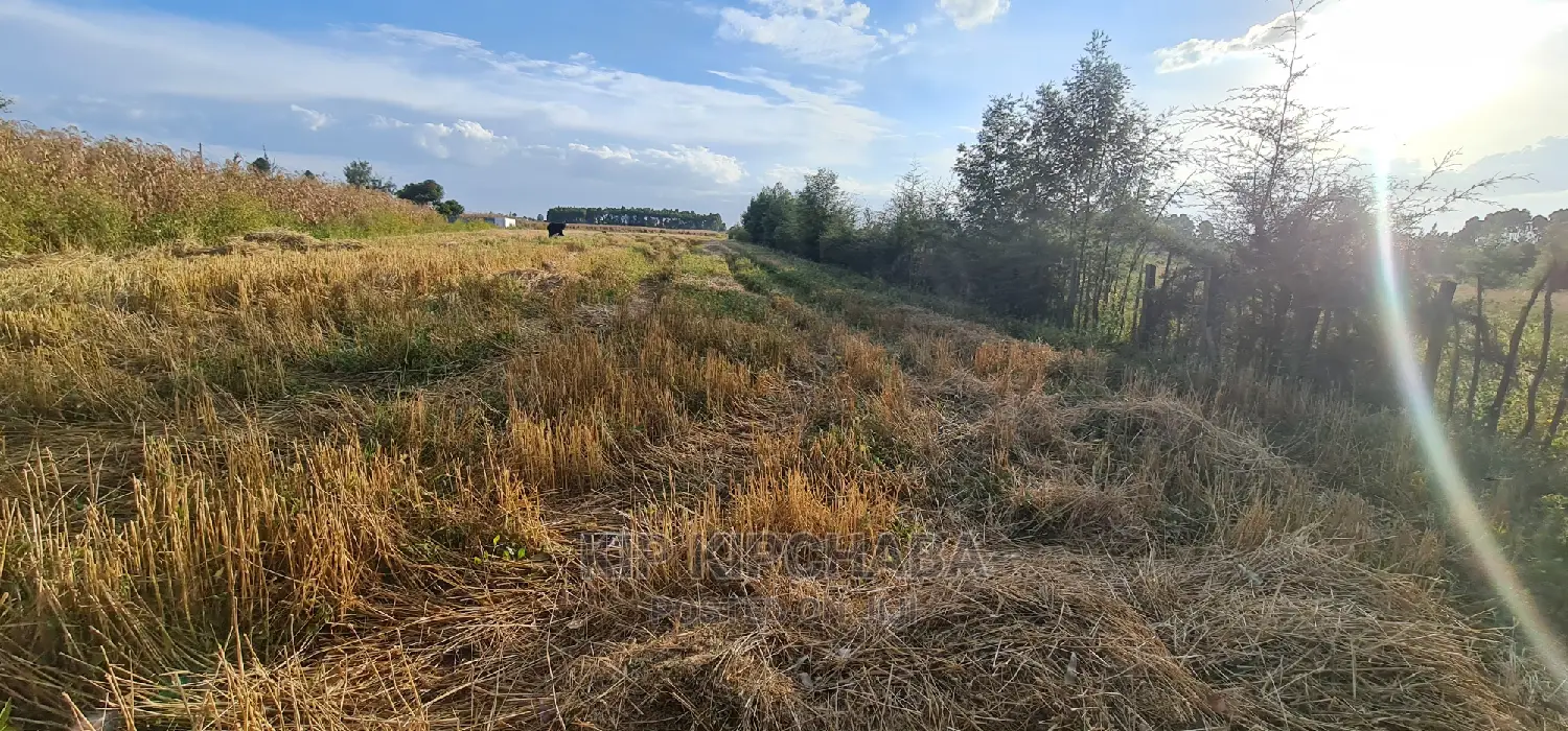1⁄8 Acre Plots for Sale in Kiplombe Mtrh Eldoret