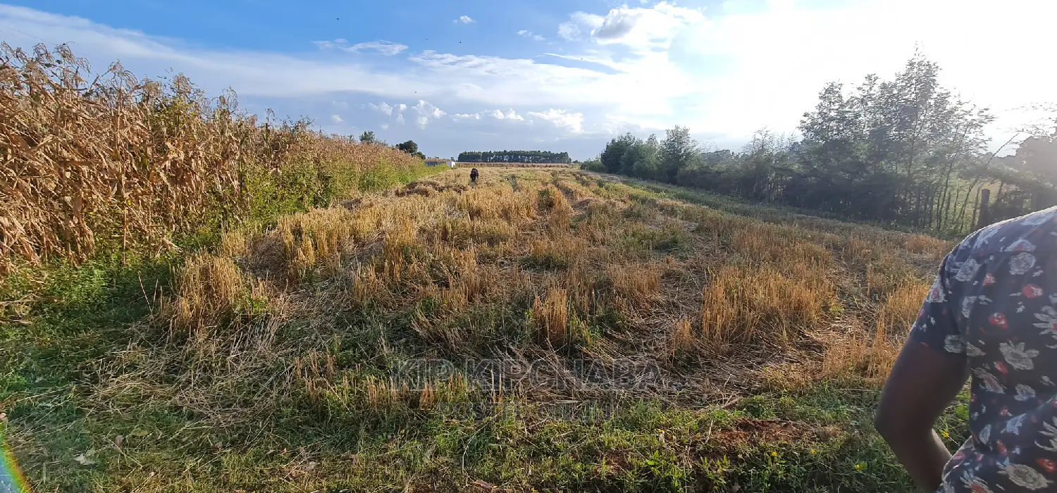 1⁄8 Acre Plots for Sale in Kiplombe Mtrh Eldoret