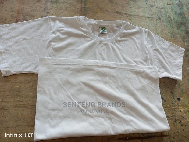 Plain White T-Shirts