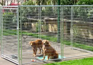 Chain Link /Mesh Dog Kennel
