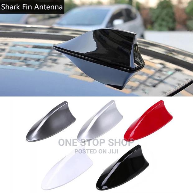 Decorative Shark Antennas - main view