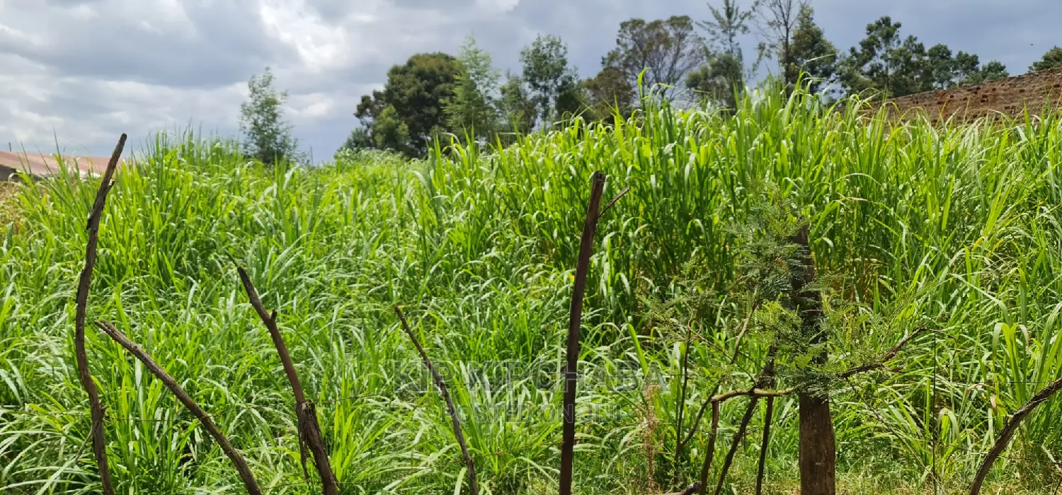 Commercial Plot Touching Tarmac Annex Eldoret