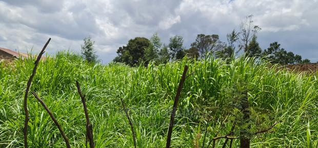 Commercial Plot Touching Tarmac Annex Eldoret - thumbnail 4
